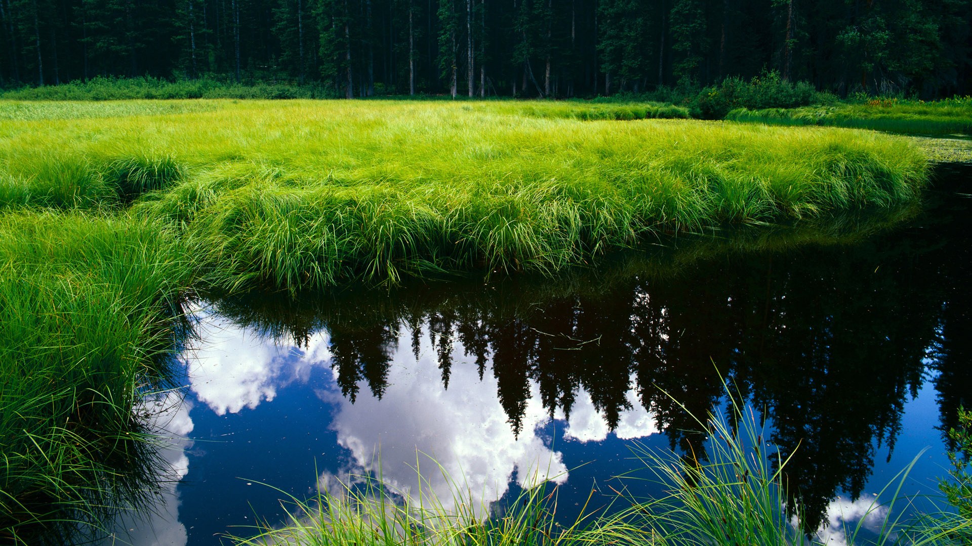 泰珈缘佛牌，神秘而迷人的佛教文化