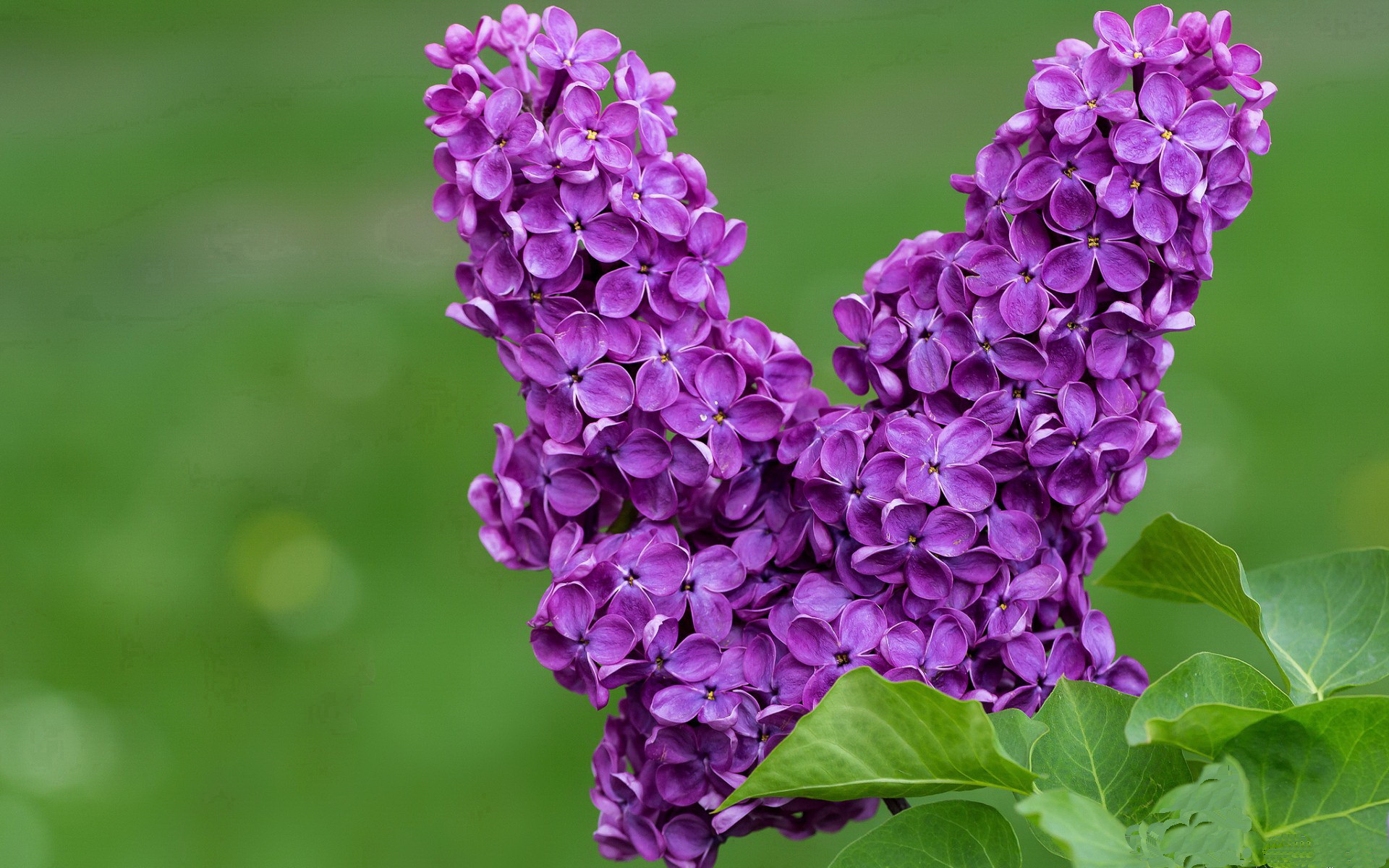 做了<a href=https://www.tgqjwang.com/ target=_blank class=infotextkey>情降</a>又做道家合和做了<a href=https://www.tgqjwang.com/ target=_blank class=infotextkey>情降</a>会有因果报应