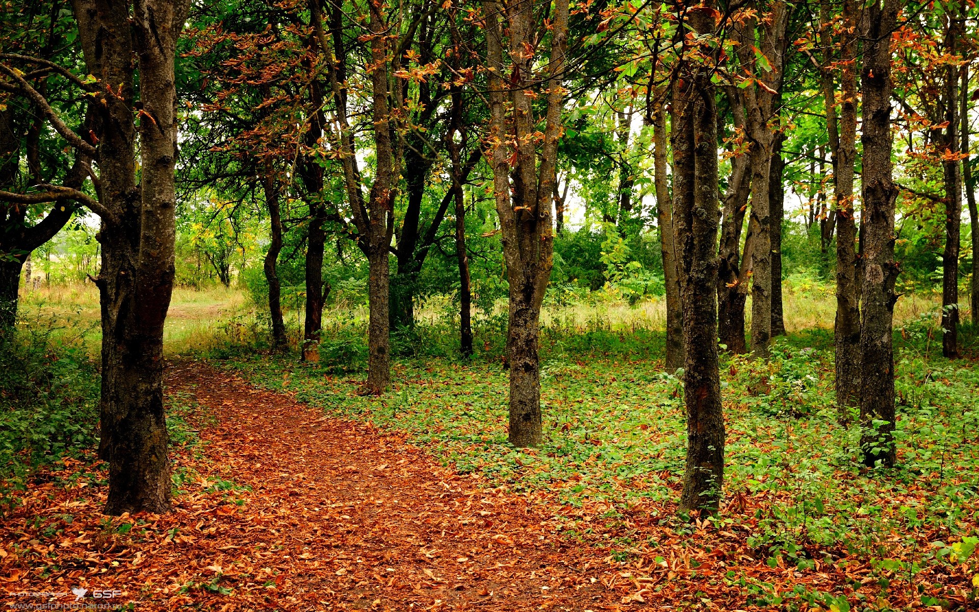 <a href=https://www.tgqjwang.com/ target=_blank class=infotextkey>情降</a>