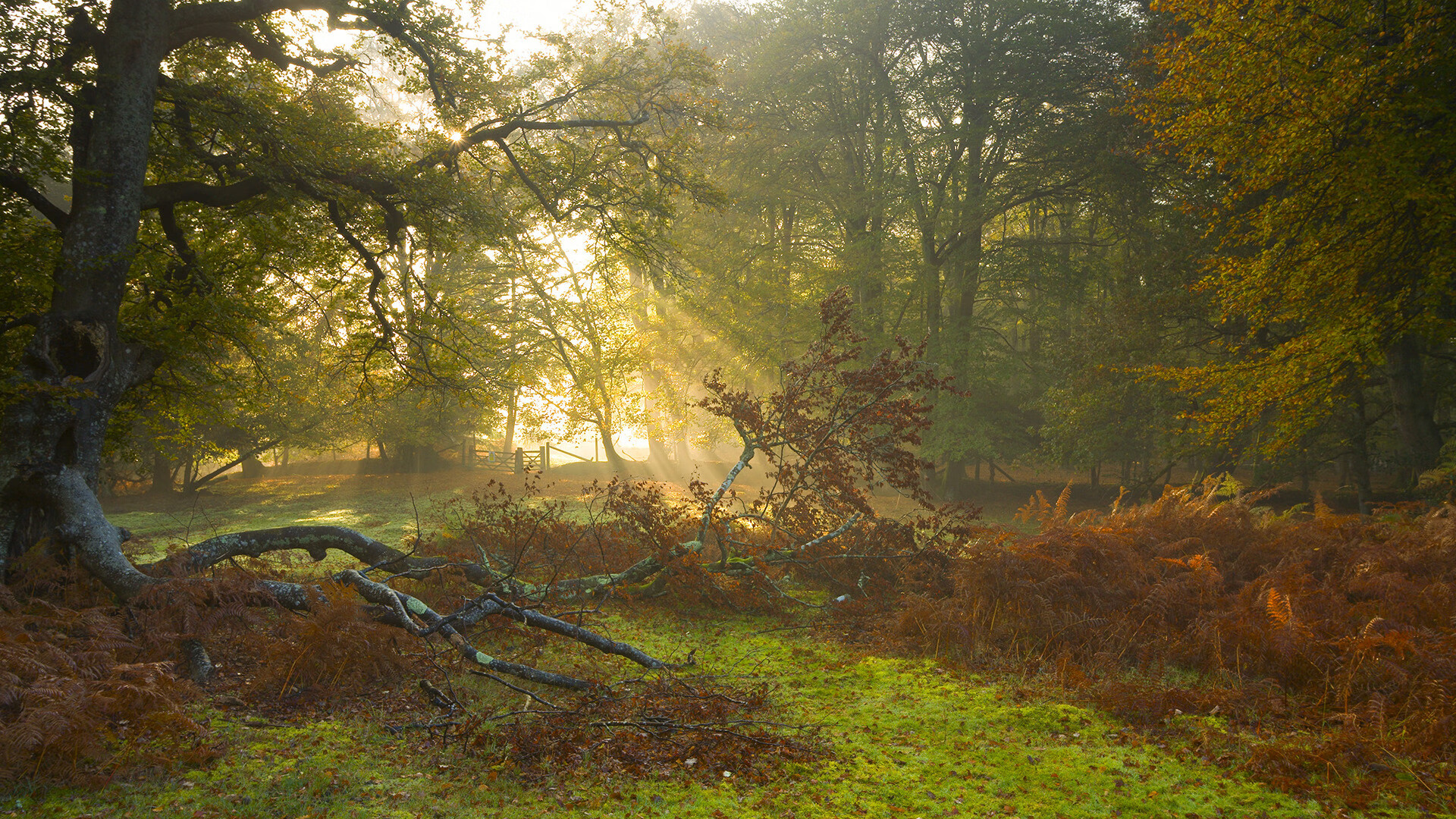 泰国<a href=https://www.tgqjwang.com/ target=_blank class=infotextkey>情降</a>法事一般多少天