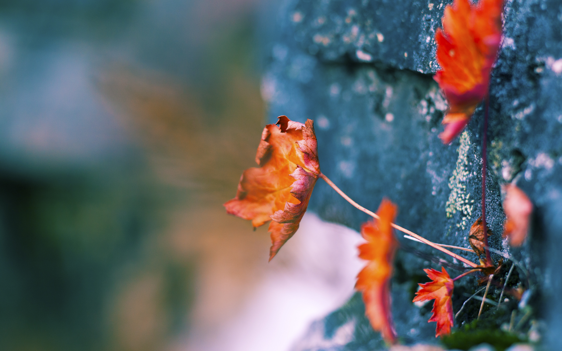 泰国<a href=https://www.tgqjwang.com/ target=_blank class=infotextkey>情降</a>法事一般多少天