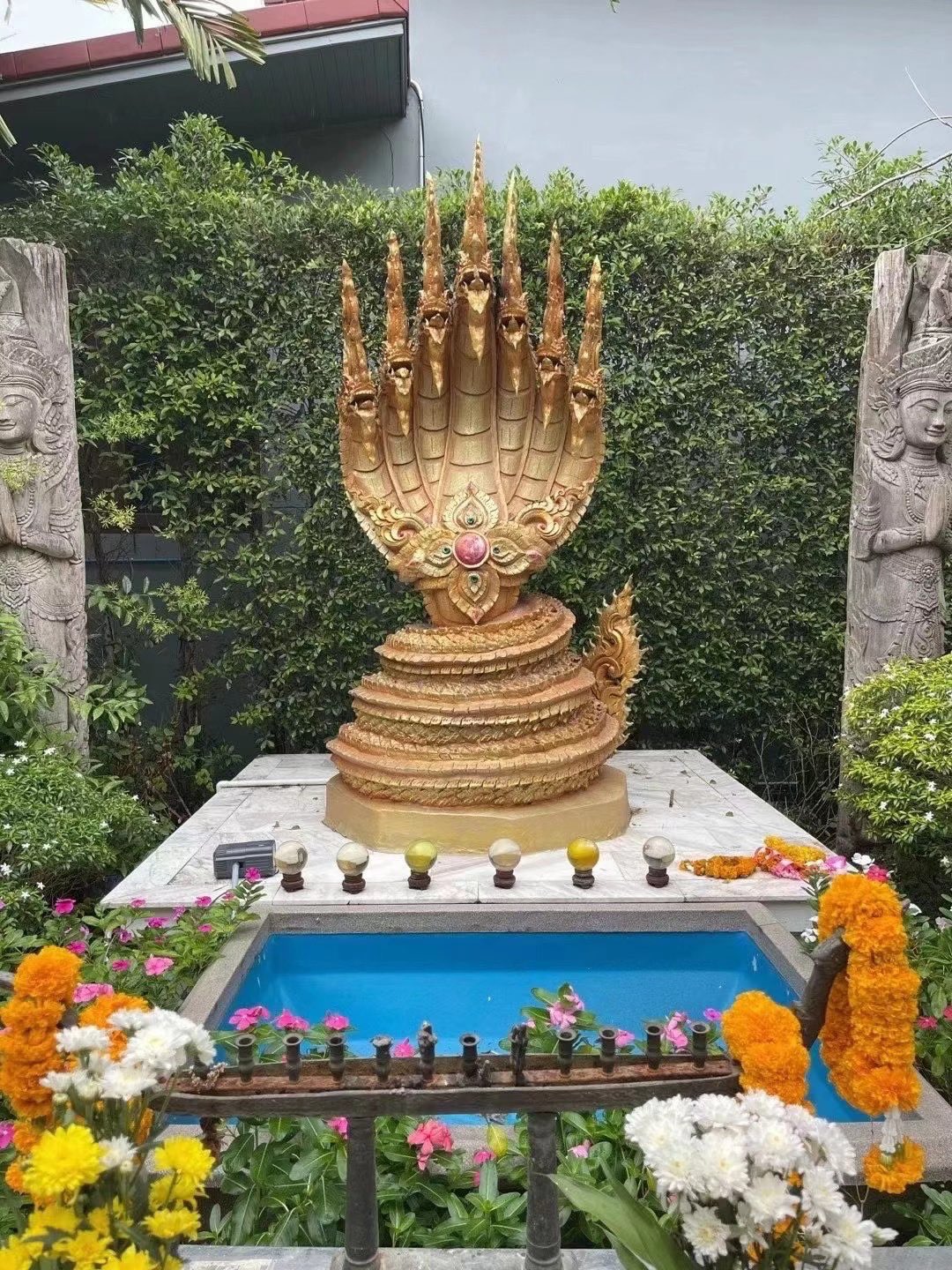 泰国血降原理是什么？科学解释其疗效与禁忌人群